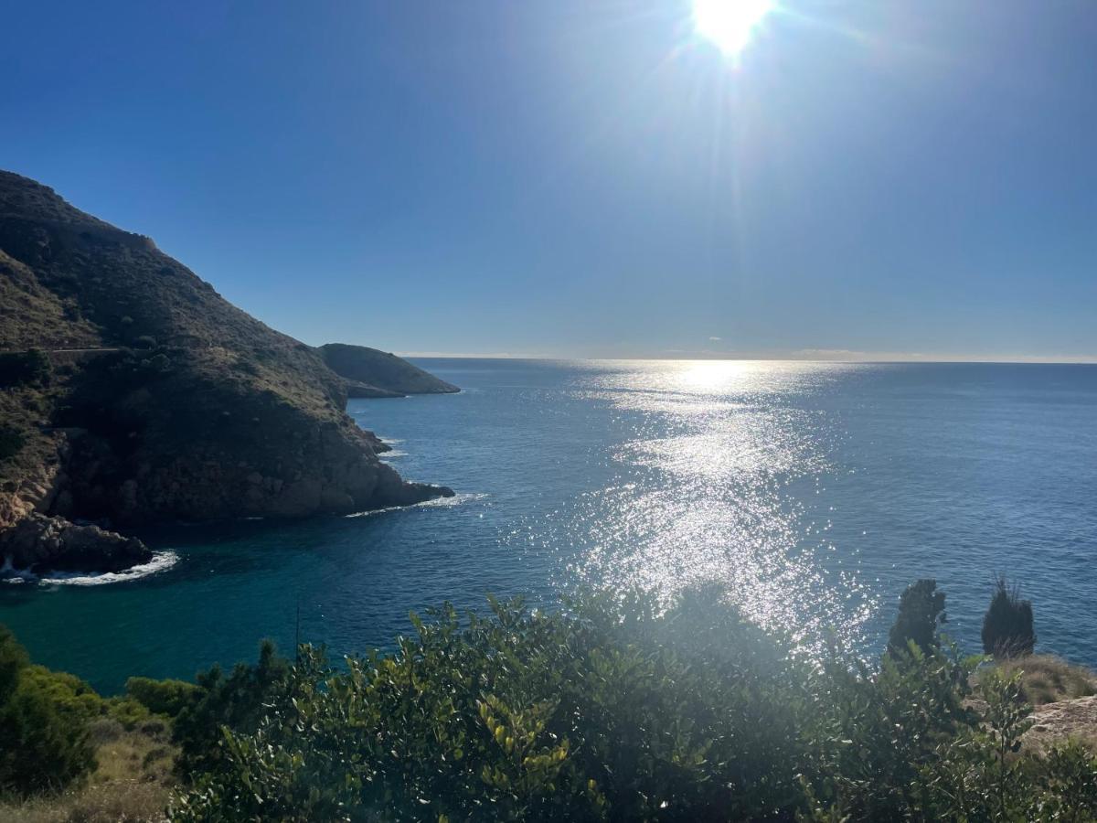 Blue Marin Benidorm Lejlighed Eksteriør billede