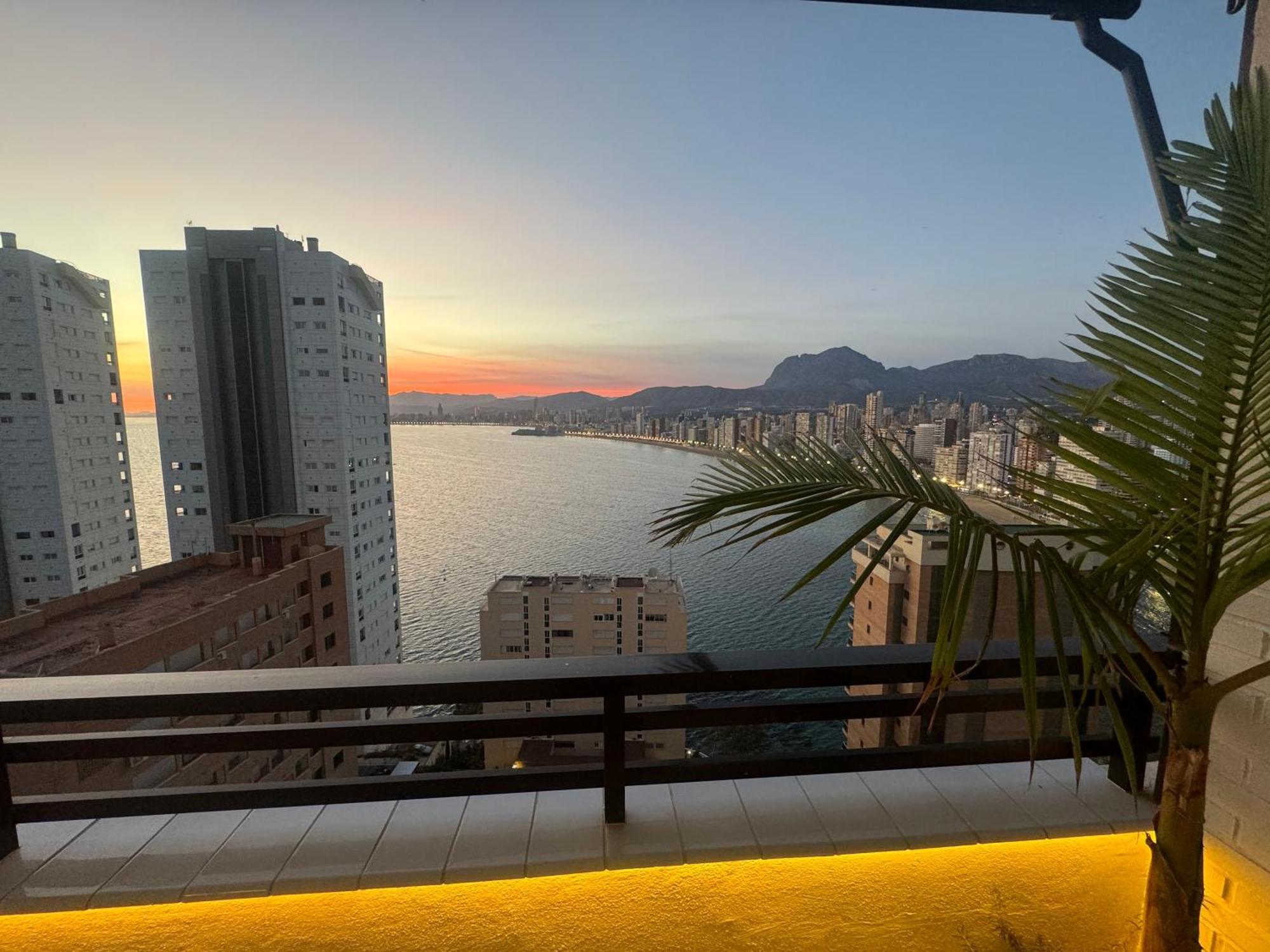 Blue Marin Benidorm Lejlighed Eksteriør billede